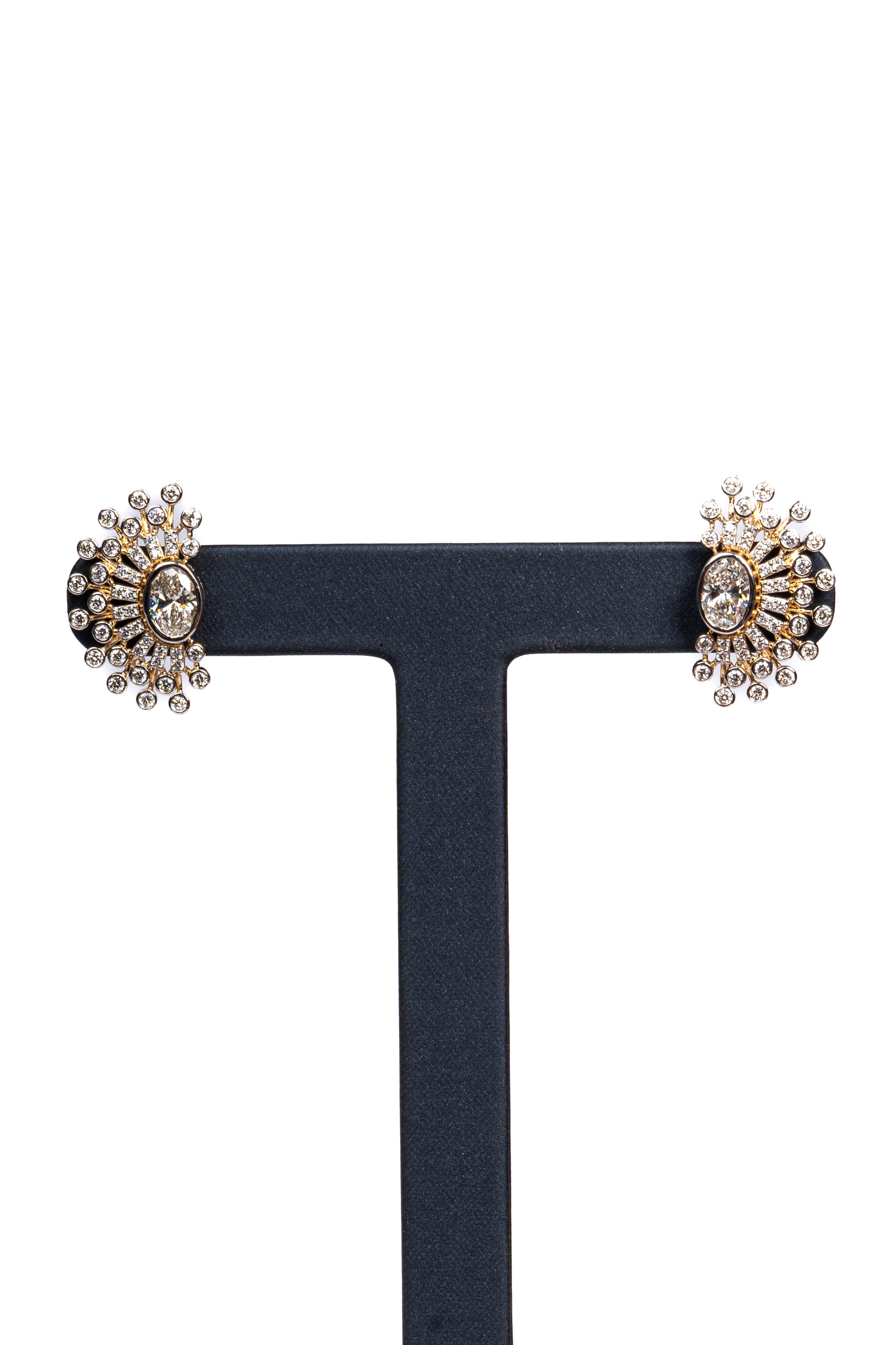 Valentina Heart Arc Necklace & Floral Stud Earrings Set